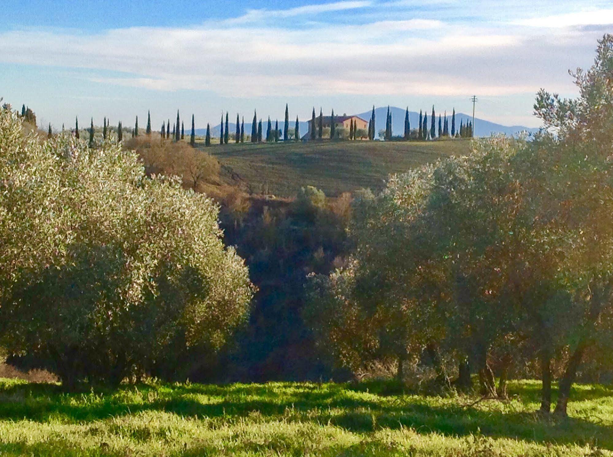 Podere Fornaci Asciano Dış mekan fotoğraf